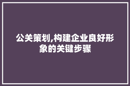 公关策划,构建企业良好形象的关键步骤