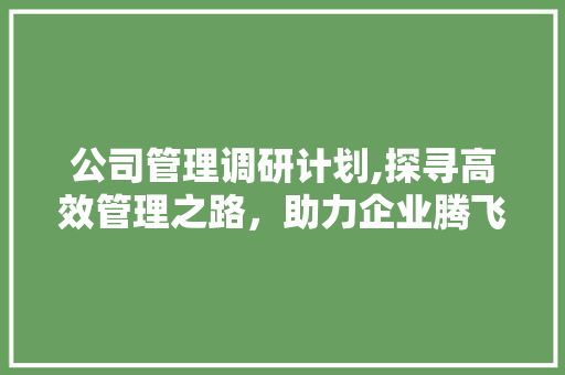 公司管理调研计划,探寻高效管理之路，助力企业腾飞