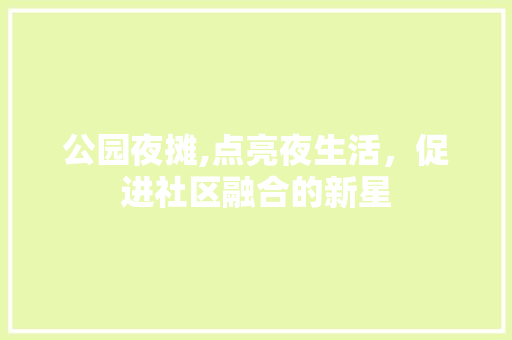 公园夜摊,点亮夜生活，促进社区融合的新星