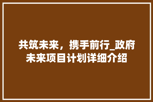 共筑未来，携手前行_政府未来项目计划详细介绍