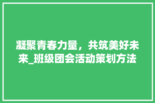 凝聚青春力量，共筑美好未来_班级团会活动策划方法