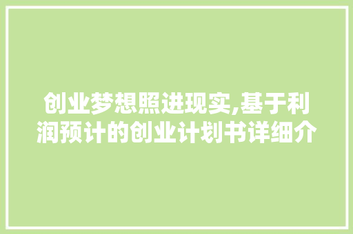 创业梦想照进现实,基于利润预计的创业计划书详细介绍