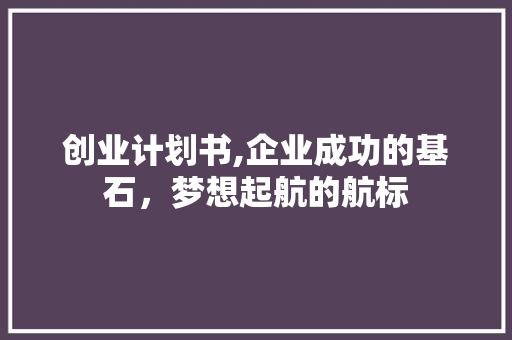 创业计划书,企业成功的基石，梦想起航的航标