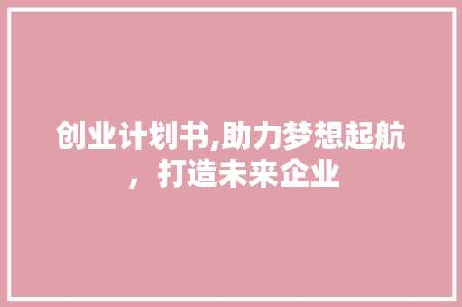 创业计划书,助力梦想起航，打造未来企业