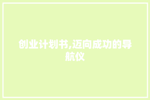 创业计划书,迈向成功的导航仪