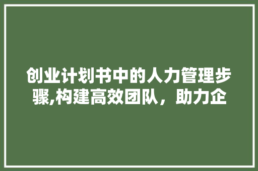 创业计划书中的人力管理步骤,构建高效团队，助力企业腾飞