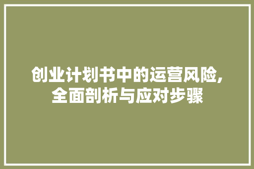 创业计划书中的运营风险,全面剖析与应对步骤