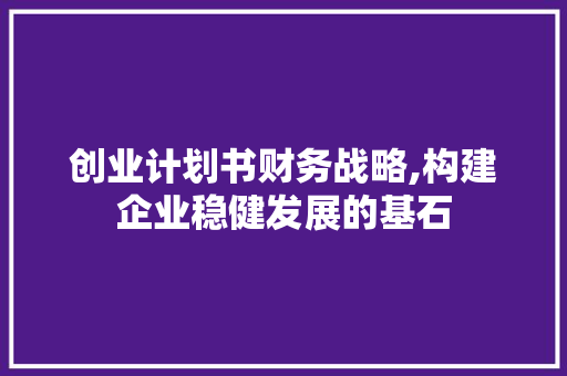 创业计划书财务战略,构建企业稳健发展的基石