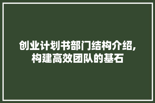 创业计划书部门结构介绍,构建高效团队的基石