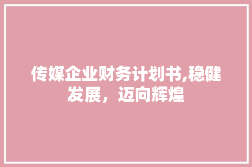 传媒企业财务计划书,稳健发展，迈向辉煌