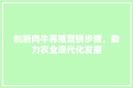 创新肉牛养殖营销步骤，助力农业现代化发展