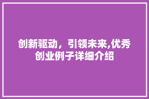 创新驱动，引领未来,优秀创业例子详细介绍