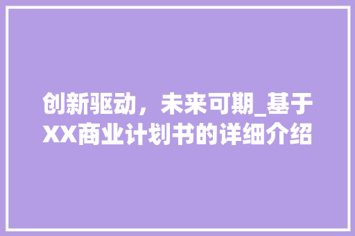 创新驱动，未来可期_基于XX商业计划书的详细介绍