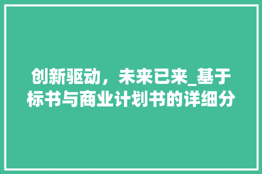 创新驱动，未来已来_基于标书与商业计划书的详细分析