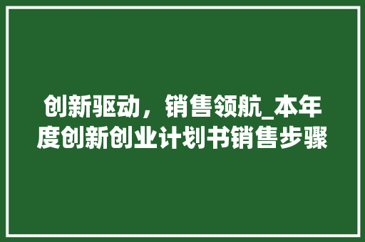 创新驱动，销售领航_本年度创新创业计划书销售步骤介绍