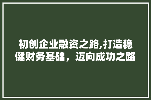 初创企业融资之路,打造稳健财务基础，迈向成功之路