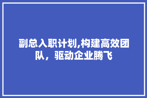 副总入职计划,构建高效团队，驱动企业腾飞