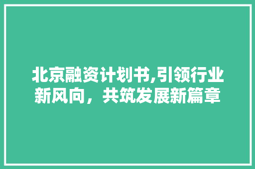 北京融资计划书,引领行业新风向，共筑发展新篇章