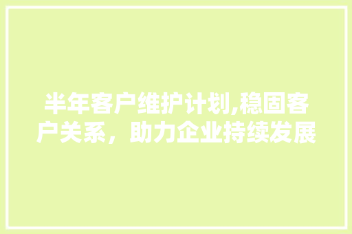 半年客户维护计划,稳固客户关系，助力企业持续发展