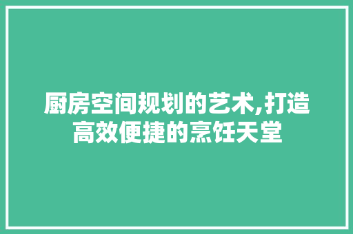 厨房空间规划的艺术,打造高效便捷的烹饪天堂