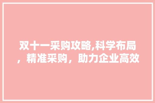 双十一采购攻略,科学布局，精准采购，助力企业高效发展