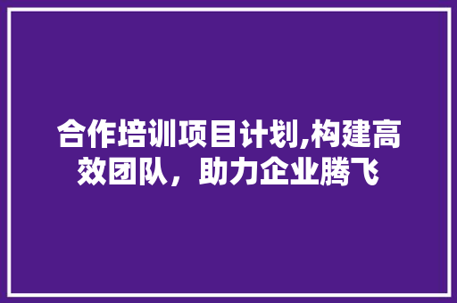 合作培训项目计划,构建高效团队，助力企业腾飞