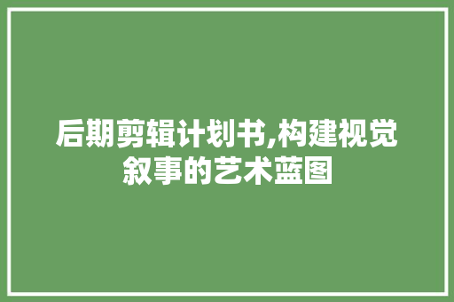 后期剪辑计划书,构建视觉叙事的艺术蓝图