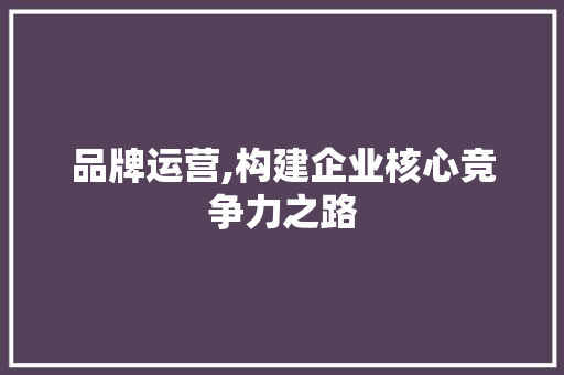 品牌运营,构建企业核心竞争力之路