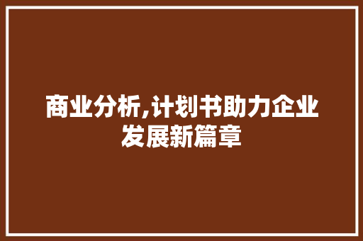 商业分析,计划书助力企业发展新篇章