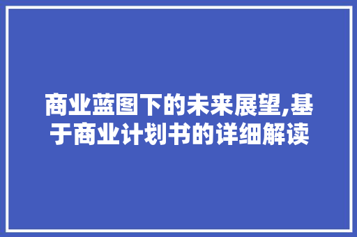 商业蓝图下的未来展望,基于商业计划书的详细解读