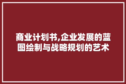 商业计划书,企业发展的蓝图绘制与战略规划的艺术