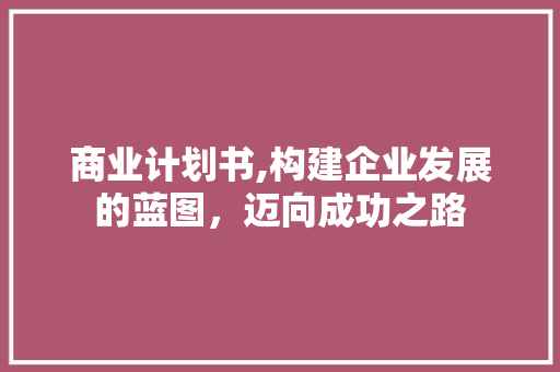 商业计划书,构建企业发展的蓝图，迈向成功之路