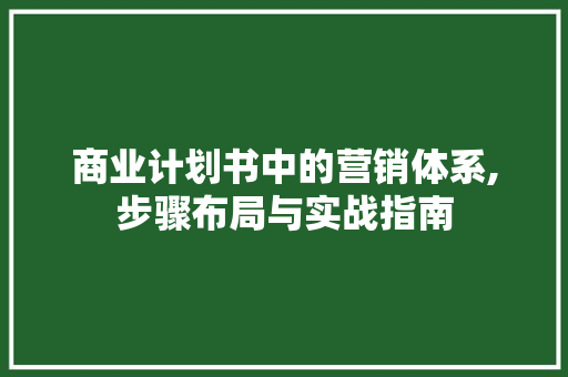 商业计划书中的营销体系,步骤布局与实战指南