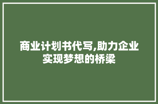 商业计划书代写,助力企业实现梦想的桥梁