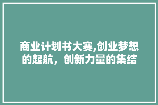 商业计划书大赛,创业梦想的起航，创新力量的集结