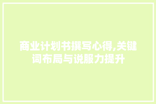 商业计划书撰写心得,关键词布局与说服力提升