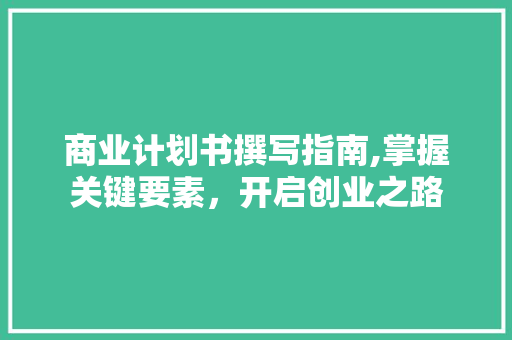 商业计划书撰写指南,掌握关键要素，开启创业之路