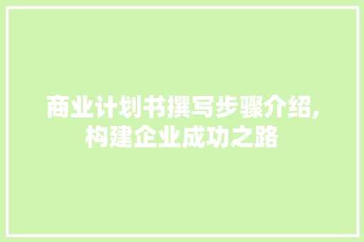 商业计划书撰写步骤介绍,构建企业成功之路