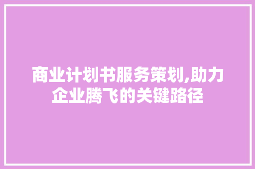 商业计划书服务策划,助力企业腾飞的关键路径