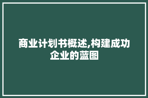 商业计划书概述,构建成功企业的蓝图