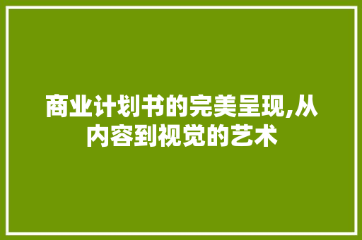 商业计划书的完美呈现,从内容到视觉的艺术