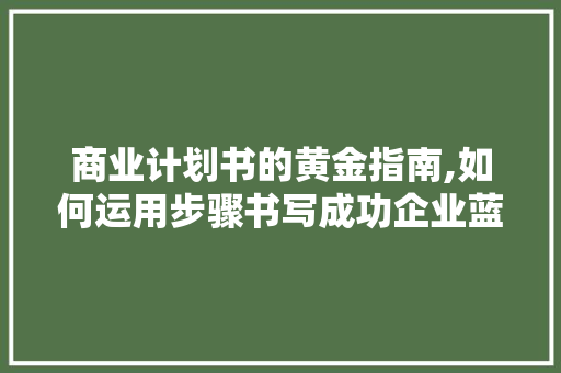 商业计划书的黄金指南,如何运用步骤书写成功企业蓝图