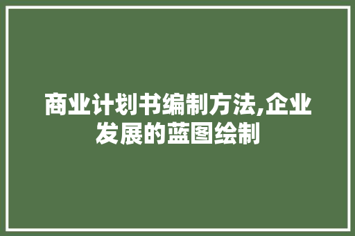 商业计划书编制方法,企业发展的蓝图绘制