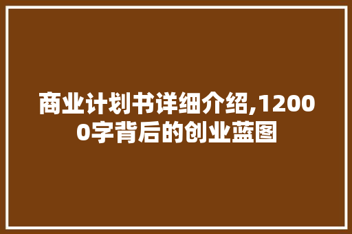 商业计划书详细介绍,12000字背后的创业蓝图