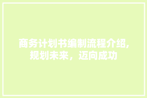 商务计划书编制流程介绍,规划未来，迈向成功