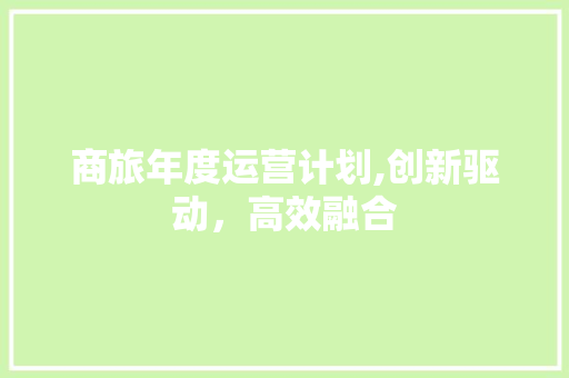 商旅年度运营计划,创新驱动，高效融合