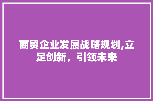 商贸企业发展战略规划,立足创新，引领未来