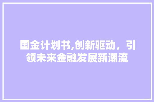 国金计划书,创新驱动，引领未来金融发展新潮流