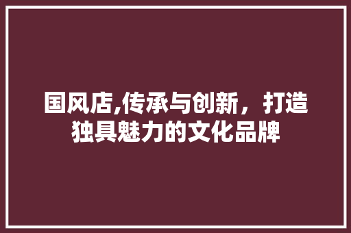 国风店,传承与创新，打造独具魅力的文化品牌