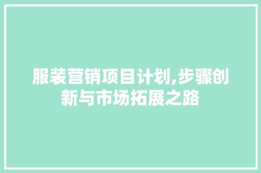 服装营销项目计划,步骤创新与市场拓展之路